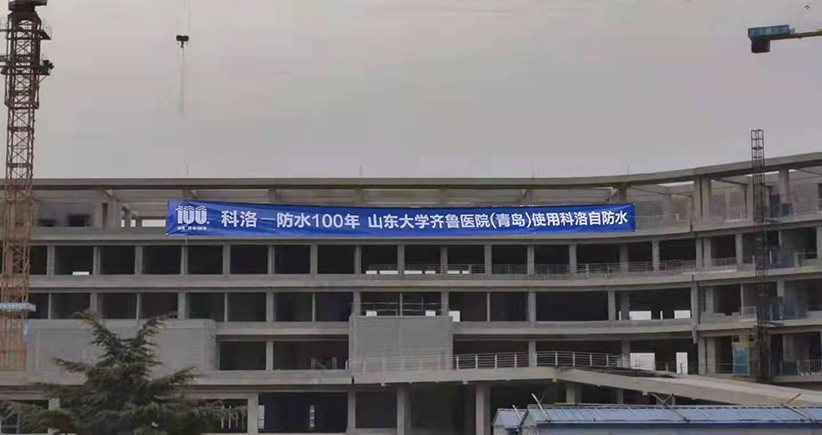 山东大学齐鲁医院