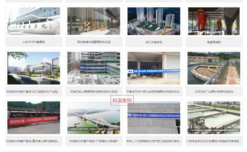 工程采购永凝液 DPS 防水剂品牌，重点考察哪些核心实力