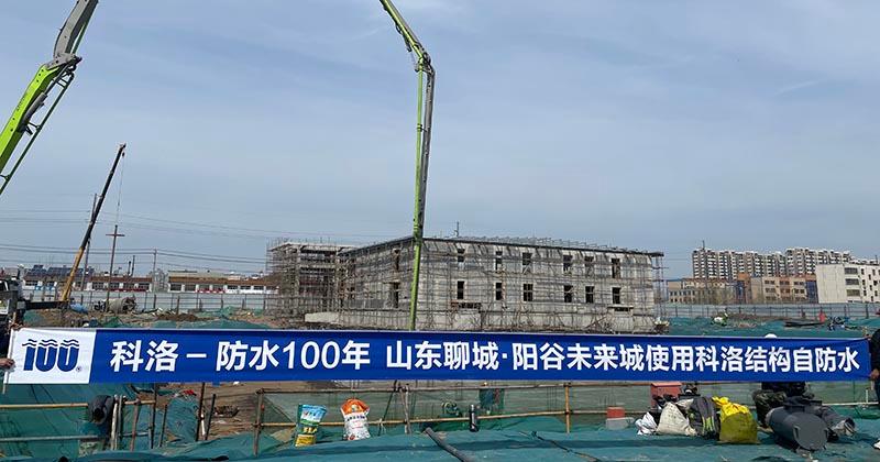 山东阳谷未来城地下室防水案为什么选择渗透结晶型<i style='color:red'>防水涂料</i>