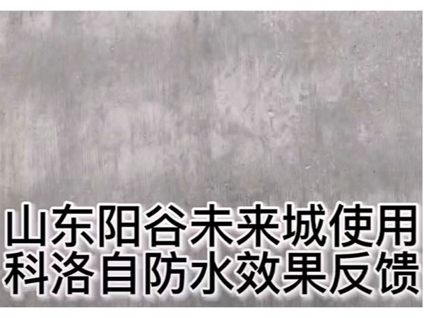 阳谷未来城结构自防水