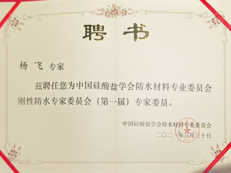 中国硅酸盐委员会