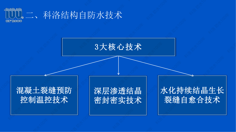 科洛招商政策 (21)