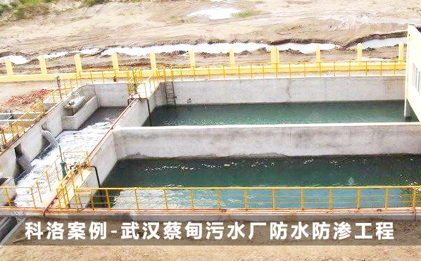 武汉蔡甸污水厂防水工程